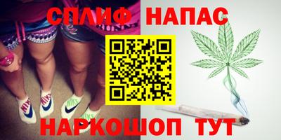 гидра Гусиноозёрск