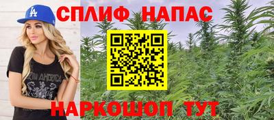 гидра Гусь-Хрустальный