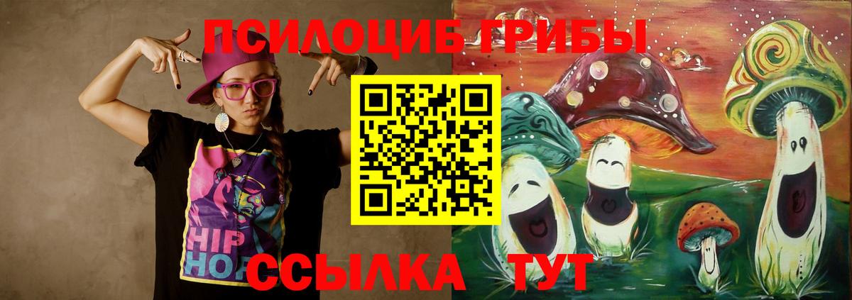 купить наркотики цена  Вход с VPN  Люберцы  Галлюциногенные грибы Psilocybe 